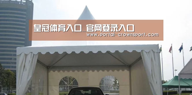 案例标题八