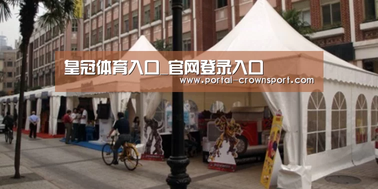 案例标题九