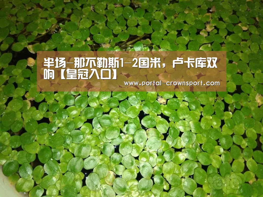 半场-那不勒斯1-2国米,卢卡库双响【皇冠入口】(图2) 皇冠体育下载