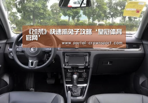 《饥荒》快速抓兔子攻略‘皇冠体育官网’(图4) 皇冠体育下载